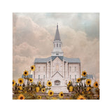 Taylorsville Utah Temple- Wild Sunflowers