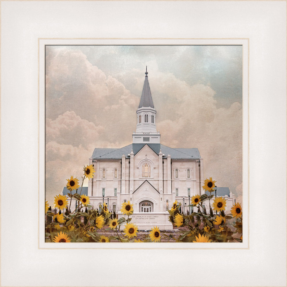 Taylorsville Utah Temple- Wild Sunflowers