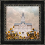 Taylorsville Utah Temple- Wild Sunflowers