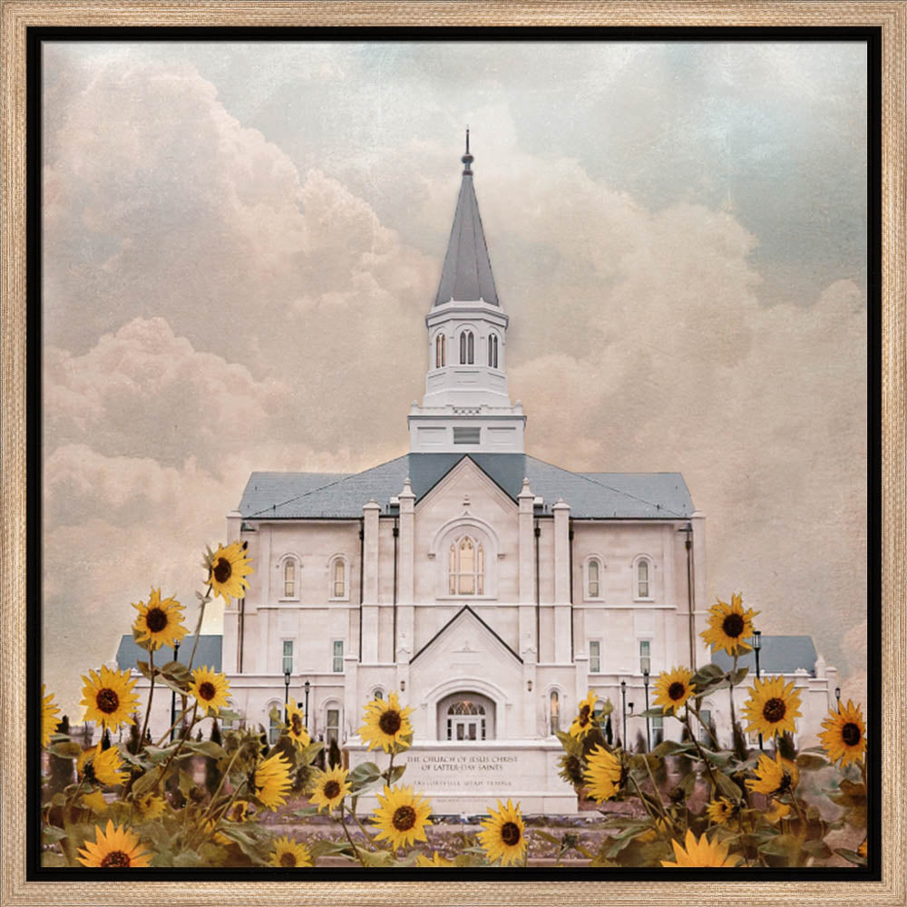 Taylorsville Utah Temple- Wild Sunflowers - framed giclee canvas