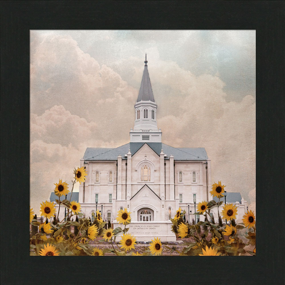 Taylorsville Utah Temple- Wild Sunflowers - framed giclee canvas