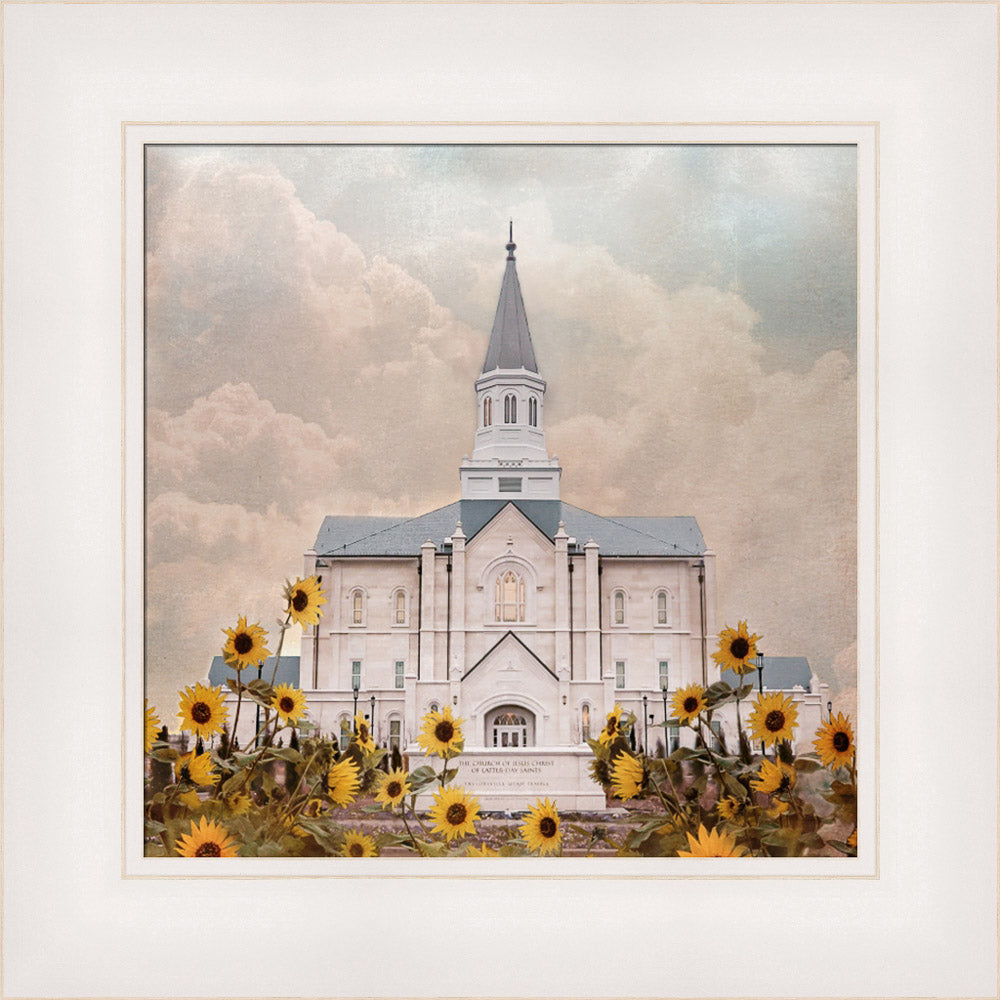 Taylorsville Utah Temple- Wild Sunflowers - framed giclee canvas