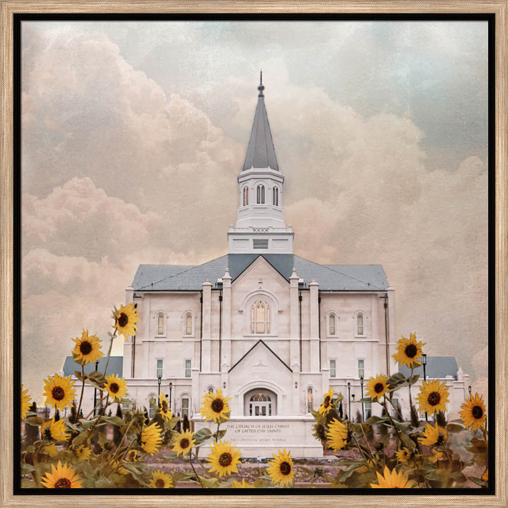 Taylorsville Utah Temple- Wild Sunflowers