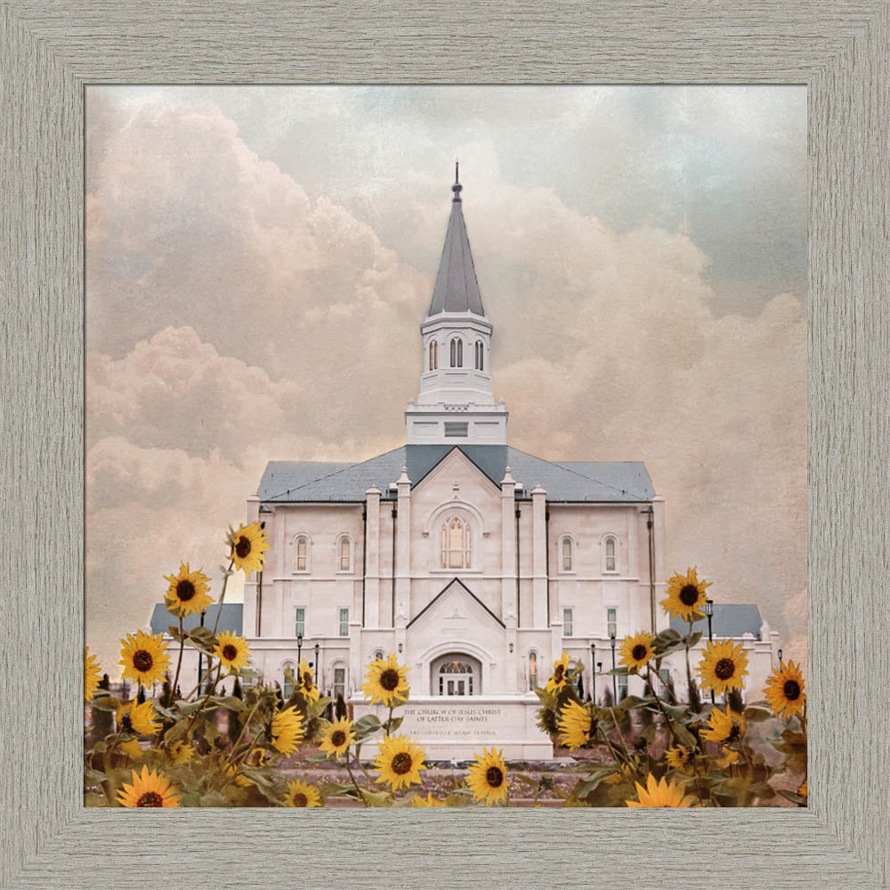 Taylorsville Utah Temple- Wild Sunflowers - framed giclee canvas