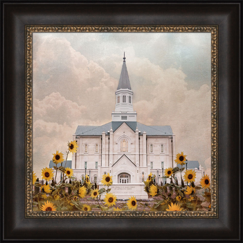 Taylorsville Utah Temple- Wild Sunflowers - framed giclee canvas