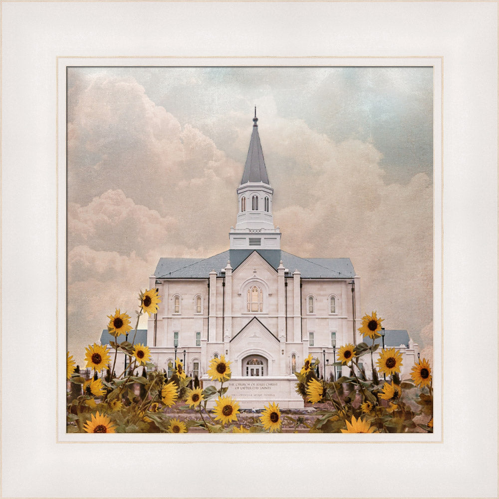 Taylorsville Utah Temple- Wild Sunflowers