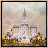 Taylorsville Utah Temple- Wild Sunflowers