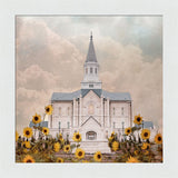 Taylorsville Utah Temple- Wild Sunflowers