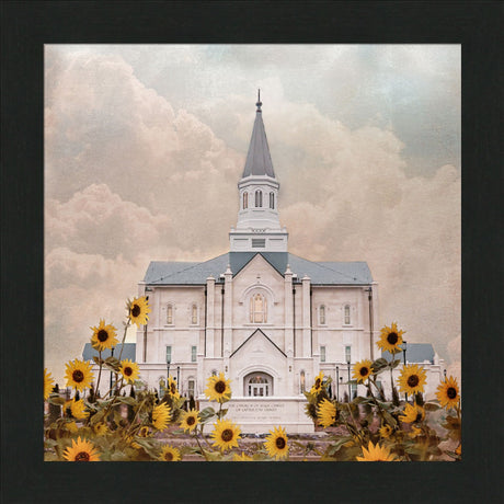 Taylorsville Utah Temple- Wild Sunflowers