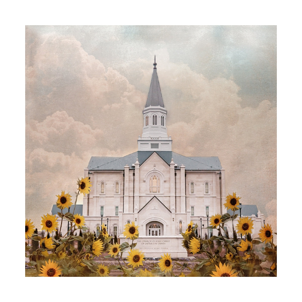Taylorsville Utah Temple- Wild Sunflowers