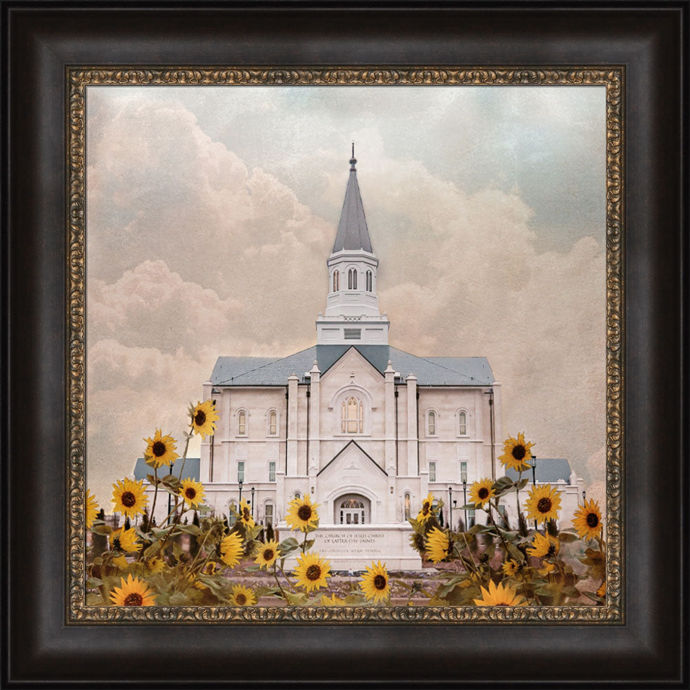 Taylorsville Utah Temple- Wild Sunflowers