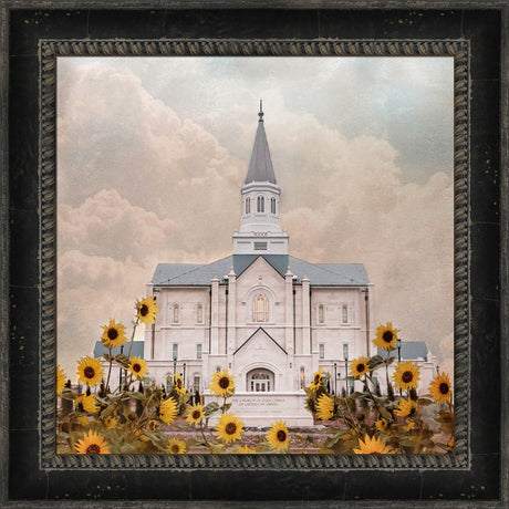 Taylorsville Utah Temple- Wild Sunflowers