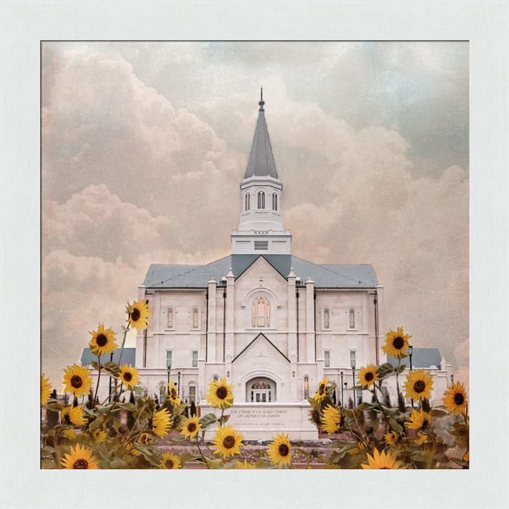 Taylorsville Utah Temple- Wild Sunflowers - framed giclee canvas