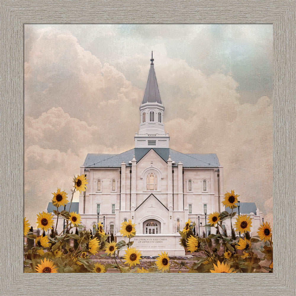 Taylorsville Utah Temple- Wild Sunflowers