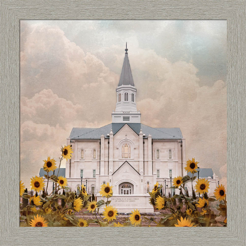 Taylorsville Utah Temple- Wild Sunflowers - framed giclee canvas