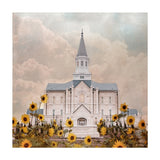 Taylorsville Utah Temple- Wild Sunflowers