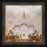 Taylorsville Utah Temple- Wild Sunflowers