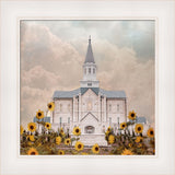 Taylorsville Utah Temple- Wild Sunflowers