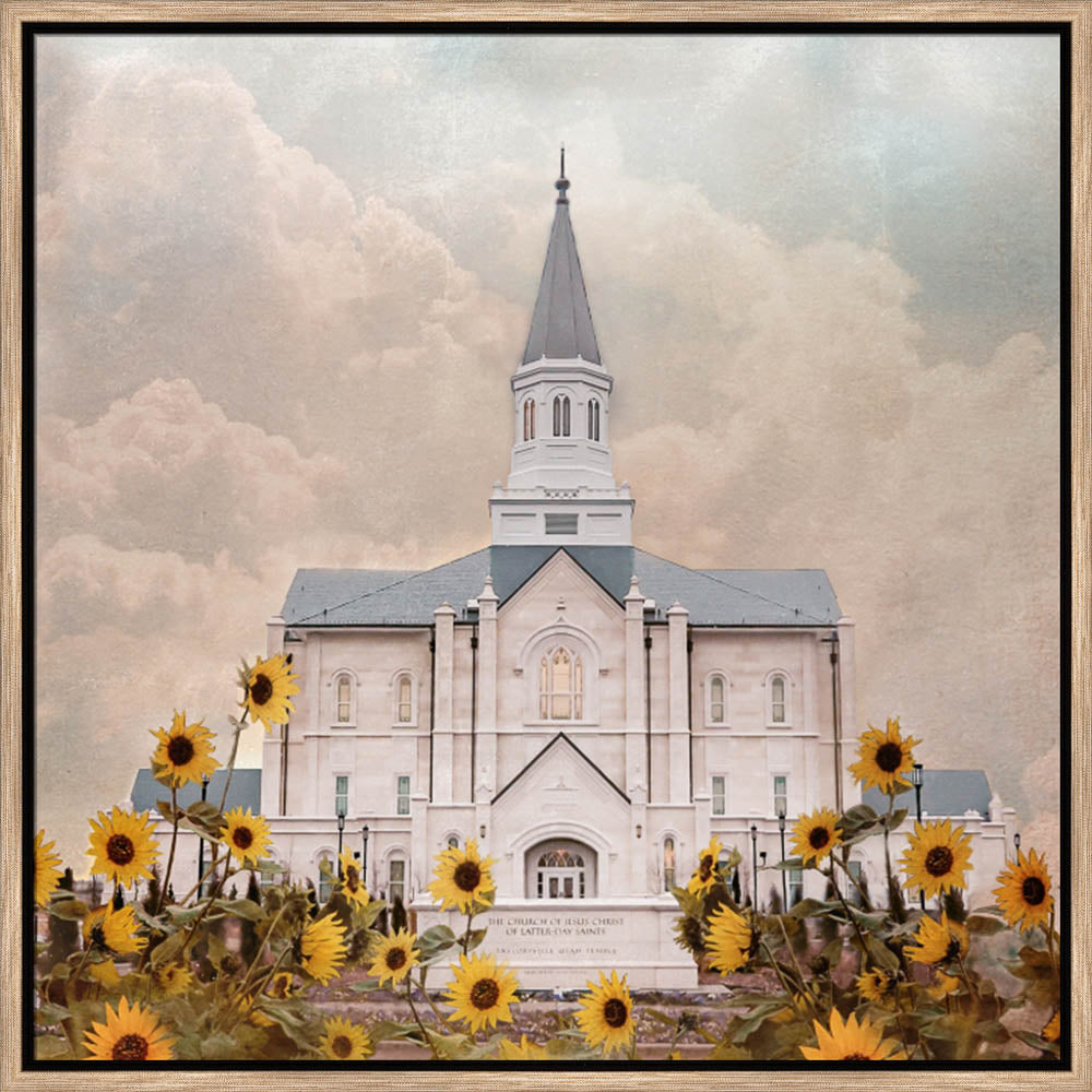 Taylorsville Utah Temple- Wild Sunflowers