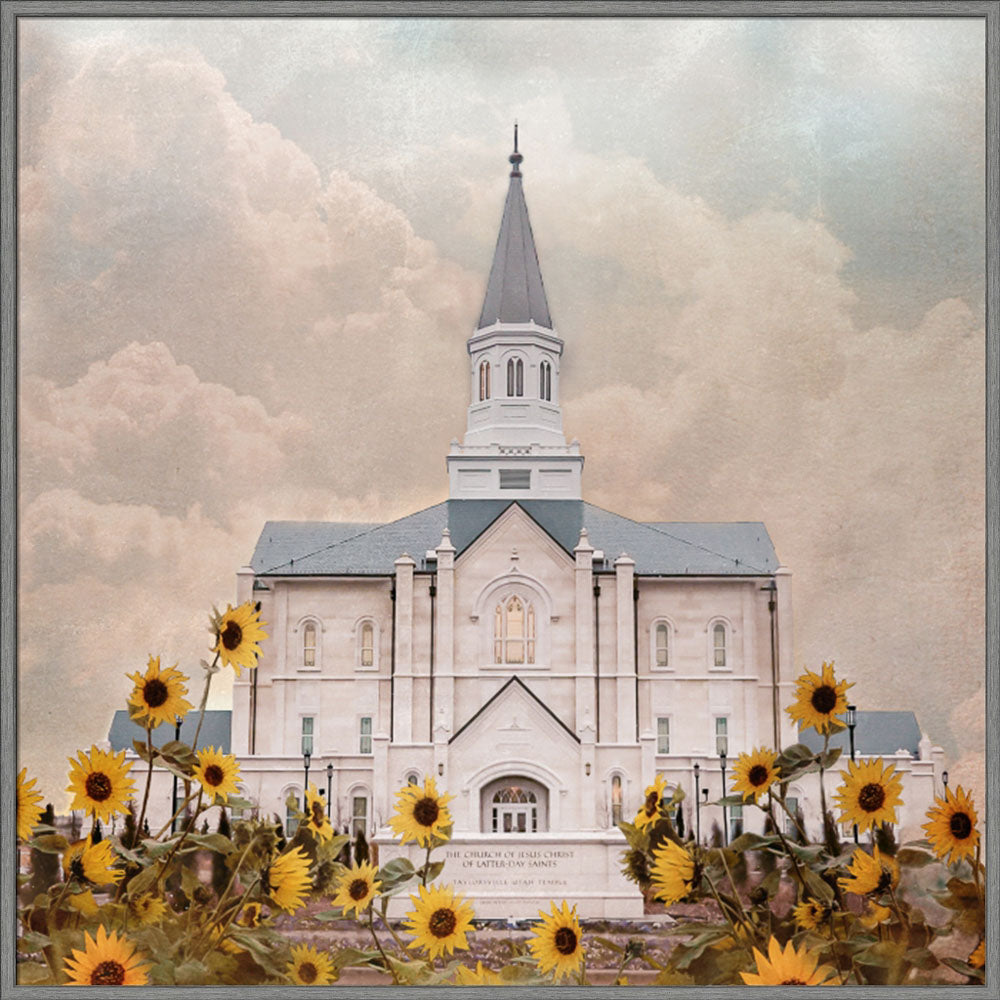 Taylorsville Utah Temple- Wild Sunflowers