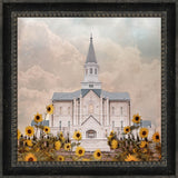 Taylorsville Utah Temple- Wild Sunflowers