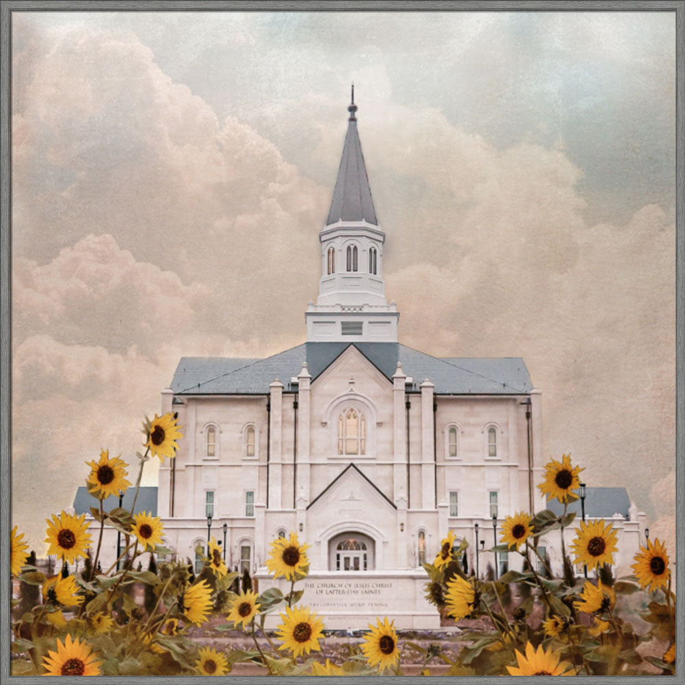 Taylorsville Utah Temple- Wild Sunflowers