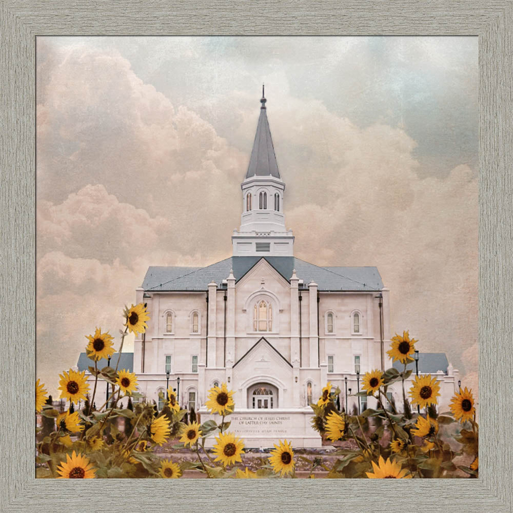 Taylorsville Utah Temple- Wild Sunflowers