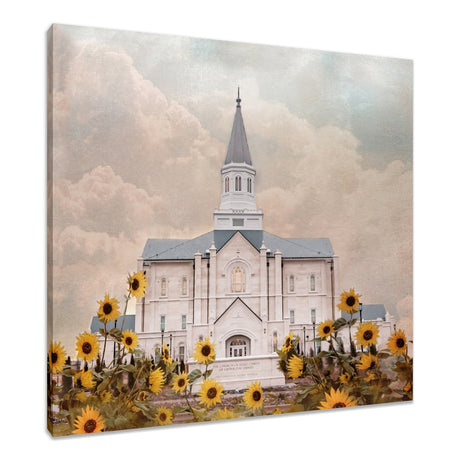 Taylorsville Utah Temple- Wild Sunflowers