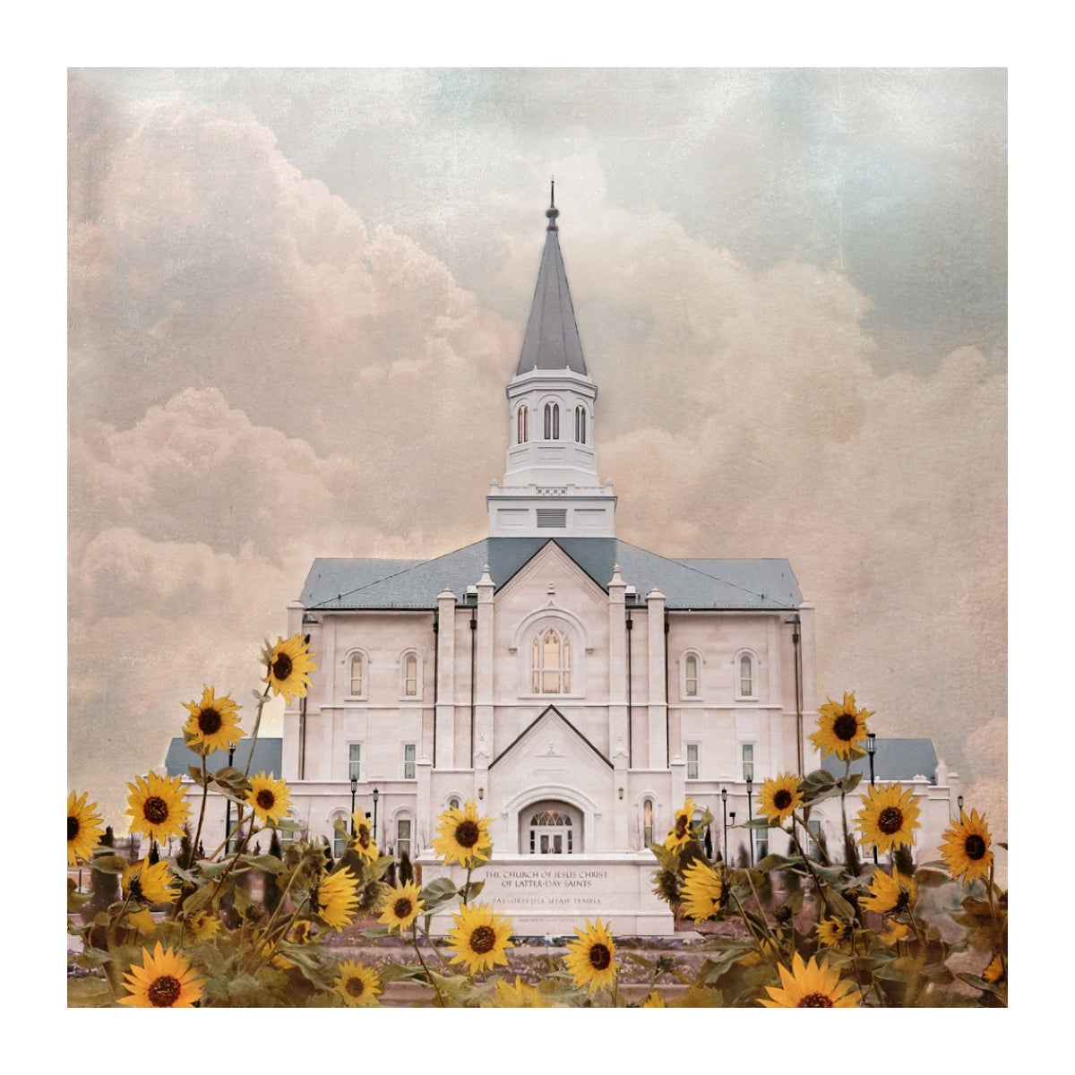 Taylorsville Utah Temple- Wild Sunflowers