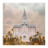 Taylorsville Utah Temple- Wild Sunflowers