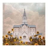 Taylorsville Utah Temple- Wild Sunflowers