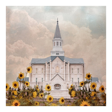 Taylorsville Utah Temple- Wild Sunflowers