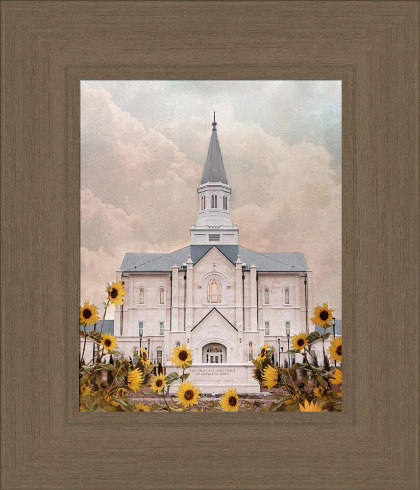 Taylorsville Utah Temple- Wild Sunflowers - framed giclee canvas