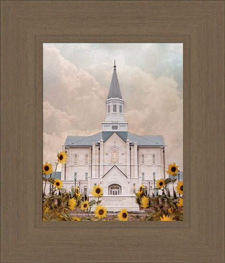 Taylorsville Utah Temple- Wild Sunflowers