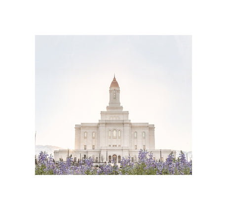 Deseret Peak Utah Temple- Mountain Lupine