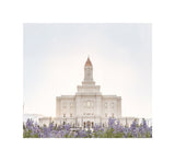 Deseret Peak Utah Temple- Mountain Lupine