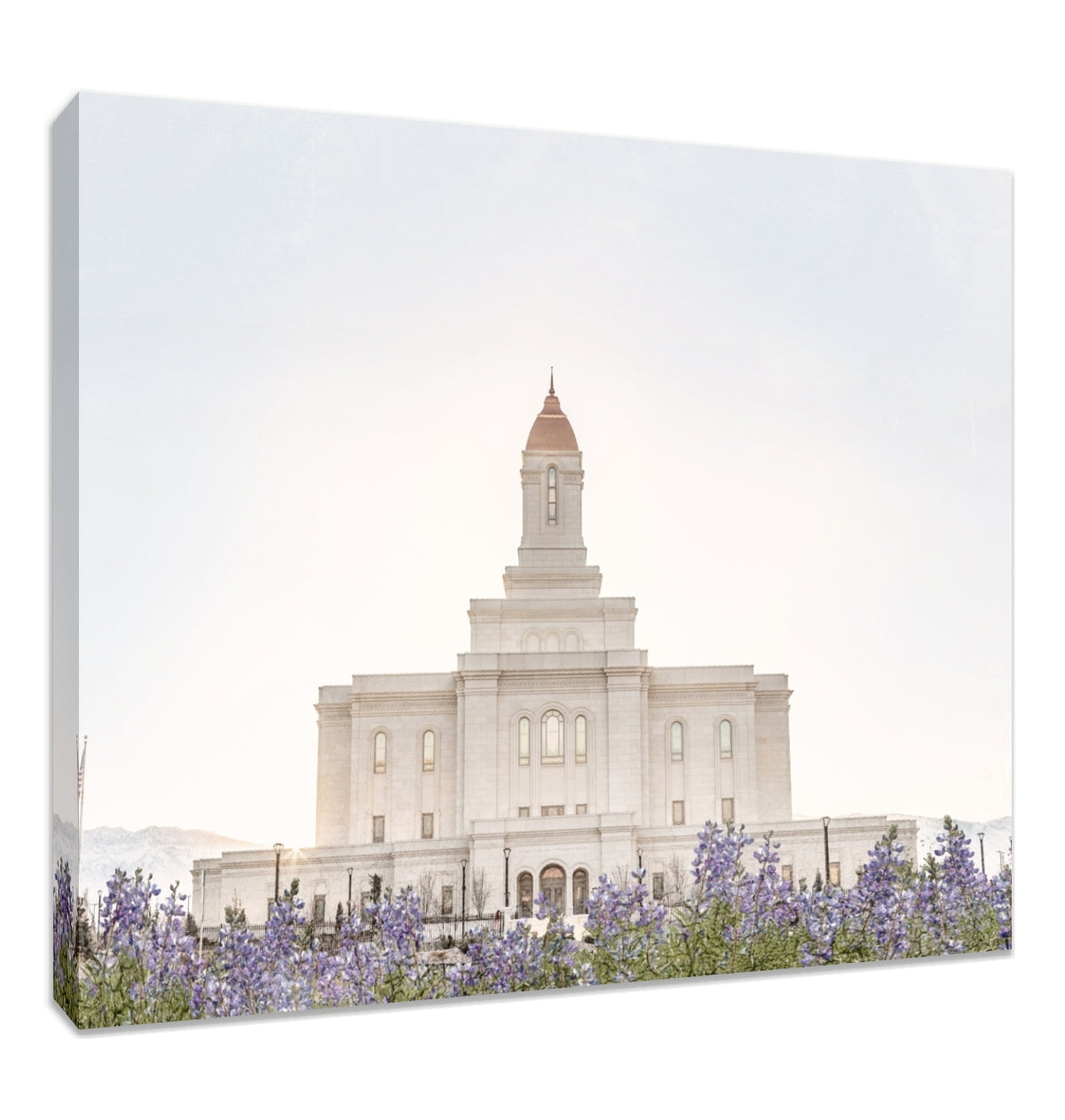 Deseret Peak Utah Temple- Mountain Lupine