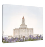 Deseret Peak Utah Temple- Mountain Lupine