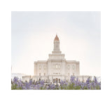 Deseret Peak Utah Temple- Mountain Lupine