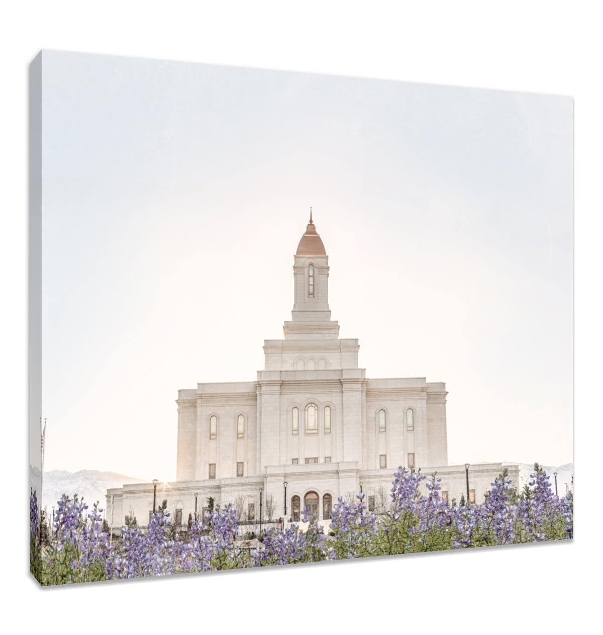 Deseret Peak Utah Temple- Mountain Lupine