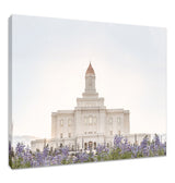 Deseret Peak Utah Temple- Mountain Lupine