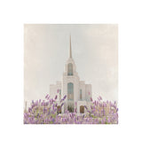 Syracuse Temple - House of Healing