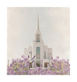 Syracuse Temple - House of Healing