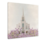 Syracuse Temple - House of Healing