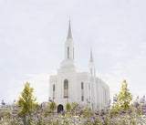 The Lindon Utah Temple with purple flowers.