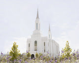 Lindon Temple - Peace and Purpose