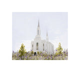 Lindon Temple - Peace and Purpose