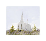 Lindon Temple - Peace and Purpose