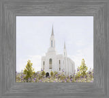 Lindon Temple - Peace and Purpose
