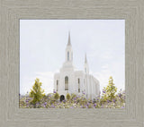 Lindon Temple - Peace and Purpose